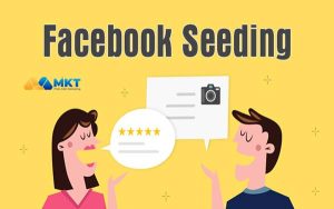 Content seeding Facebook