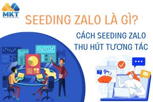 Seeding Zalo là gì?
